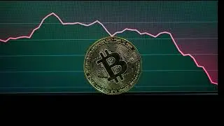 Bitcoin Price Plummets Amid Tariff Fears: Is a Bigger Crash Coming?