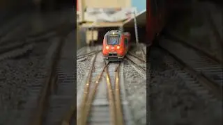 BR 442 / Talent 2 auf meiner h0 Modellbahn Anlage #modellbahn