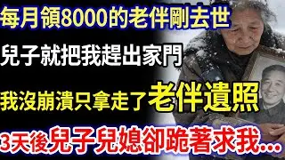 我69歲，每月領8000的老伴去世，兒子把我趕出家門時，我沒崩潰，只拿走了老伴遺照，遭兒子兒媳嘲笑，3天後他們跪地哭著求我..原來#家庭故事 #感人故事 #家庭倫理 #感人故事 #真實生活