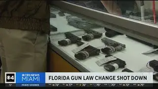 Florida gun law change shot down