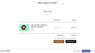 Shopify Cart Page Countdown Timer