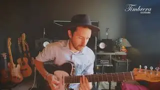 Telecaster Custom Timbrera
