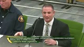 Dr  Brett Feldman Testimony before Senate Select Comm on Mental Health and Addiction
