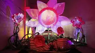 Nature Evolves Timelapse - IMMERSE - Creative City Project 2019