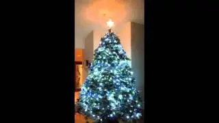 Rotating Christmas Tree Australia