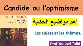 Candide ou l'optimisme : les thèmes principaux / 2bac et bac libre