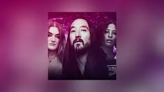 Steve Aoki & Icona Pop - I Love My Friends (Armin van Buuren & Avian Grays Remix) [Visualizer]