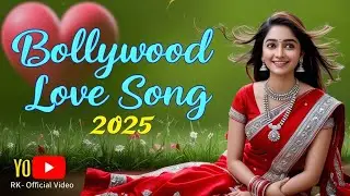 Bollywood Romantic Love Songs Collection 🌺 New Hindi Bollywood Song 2025 💞  #bollywoodsongs