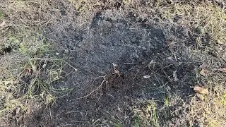 Tips for making a mock scrape