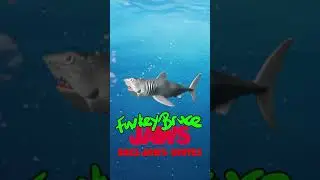 FUNKY BRUCE JAWS DOES JAWS QUOTES... Animated funko Bruce shark doing quotes from the movies