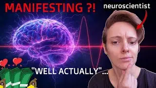 The Law of Attraction Explained by a Neuroscientist (You Won&rsquo;t Like It)