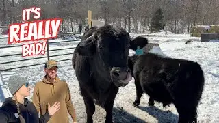 It's the WORST We've EVER Seen!!