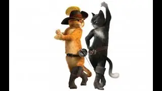 Catbatango