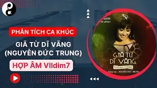 GI&Atilde; TỪ DĨ V&Atilde;NG (NGUYỄN ĐỨC TRUNG), QU&Atilde;NG 4 TĂNG V&Agrave; HỢP &Acirc;M VIIdim7 L&Agrave; C#dim7 GIỌNG Dm #hochoaam