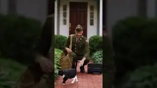 😺 🐈&zwj;⬛ Tuxedo Cat jumps with joy for Soldier! Heartwarming reunion moment #cats #pets #soldier