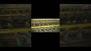 Mango Pulp Perfection: Allana Exports' Juicy Journey!