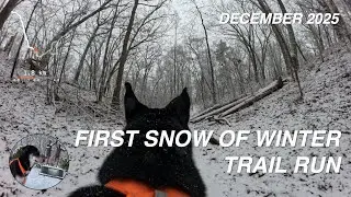 Husky Virtual Run 4K - Trail Run in the First Snow of the Year (Massachusetts)