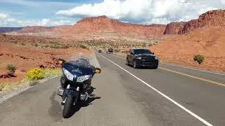 Hawk riding through Capitol Reef National Park, Utah, USA (2023.09)
