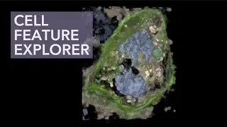 Cell Feature Explorer | Allen Institute for Cell Science