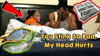 YOUR KITTY STANK PRANK!!!