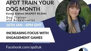 Day 11 Train Your Dog Month - Focus and Engagement with Katey Aldred