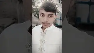 Champion Free Fire😎 #freefire #shorts #shortvideo #viral