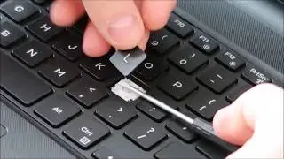 Как починить клавиши на ноутбуке Dell Inspiron &mdash; заменить клавиши на клавиатуре, буквы, цифры, стрелки и т. д.