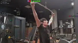 Day 33 | Back Day | Consistency Wins 💪