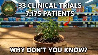 Stops Colds 5 Days Faster. Grows In A Cup. Why Don't Doctors Prescribe It?