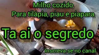 como cozinhar o milho para pesca de piau, piapara e tilápia