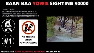BAAN BAA YOWIE SIGHTING