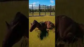 Jurassic World Live Stream | Dinosaur Park #dinosaur