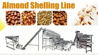 Automatic Almond Shelling Line &ndash; Trial Running for Russian Customer Contact： +8617703863868