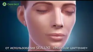 sealuxe nabor
