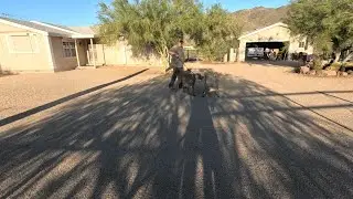 252.Ready For Bird Hunting