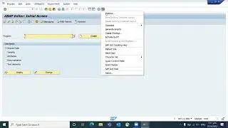 Settings related to input history in SAP - SAP Basic Navigation videos