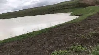 Spring Storm 2019