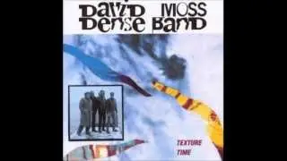 David Moss Dense Band - Collision, Of Course!