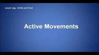 Ankle active movements