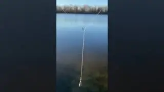 ЭТА СНАСТЬ ЛОВИТ даже ПАССИВНОГО ОКУНЯ!
