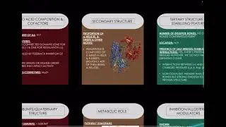 Protein Poster