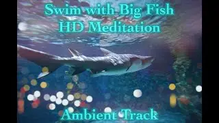 1-HR Hawaii Big Fish Meditation| Shark + Giant Trevallys + Big Mouth Grouper