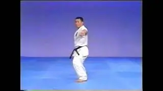 Kyokushin Karate Kata - Pinan Sono San