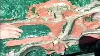 77 - Estuary Restoration