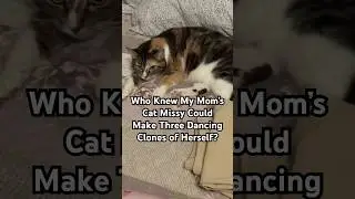 Dancing Cat Clones: The Future of Feline Fun #cat #shorts