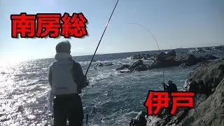 メジナに会いたくて　南房総　伊戸の地磯