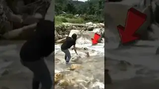 Omg! Poor dog 🥺 dog stuck in flood water #dog #doglover