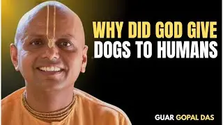 Why Did God Give Dogs to Humans? | Gaur Gopal Das Motivation