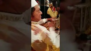 King off tabla ustad dildar hussain dhmal Lal shebaz qalander 2021
