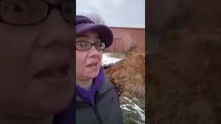 Horse shit!